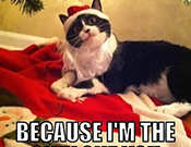 I Destroyed Your Gifts. 
I'm All You Need